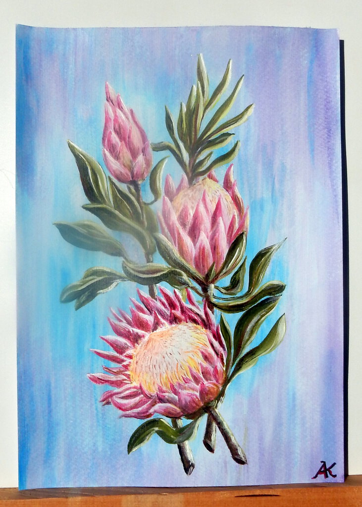 Protea