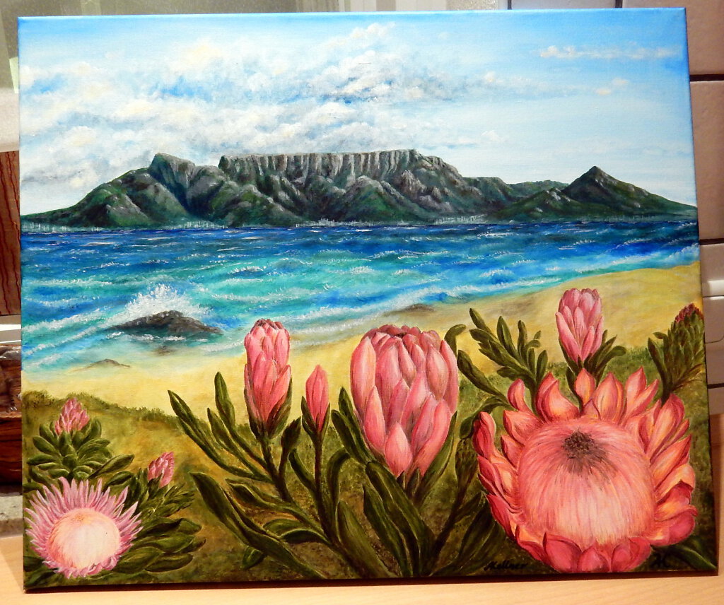 23-Protea-vor-Tafelberg JPG