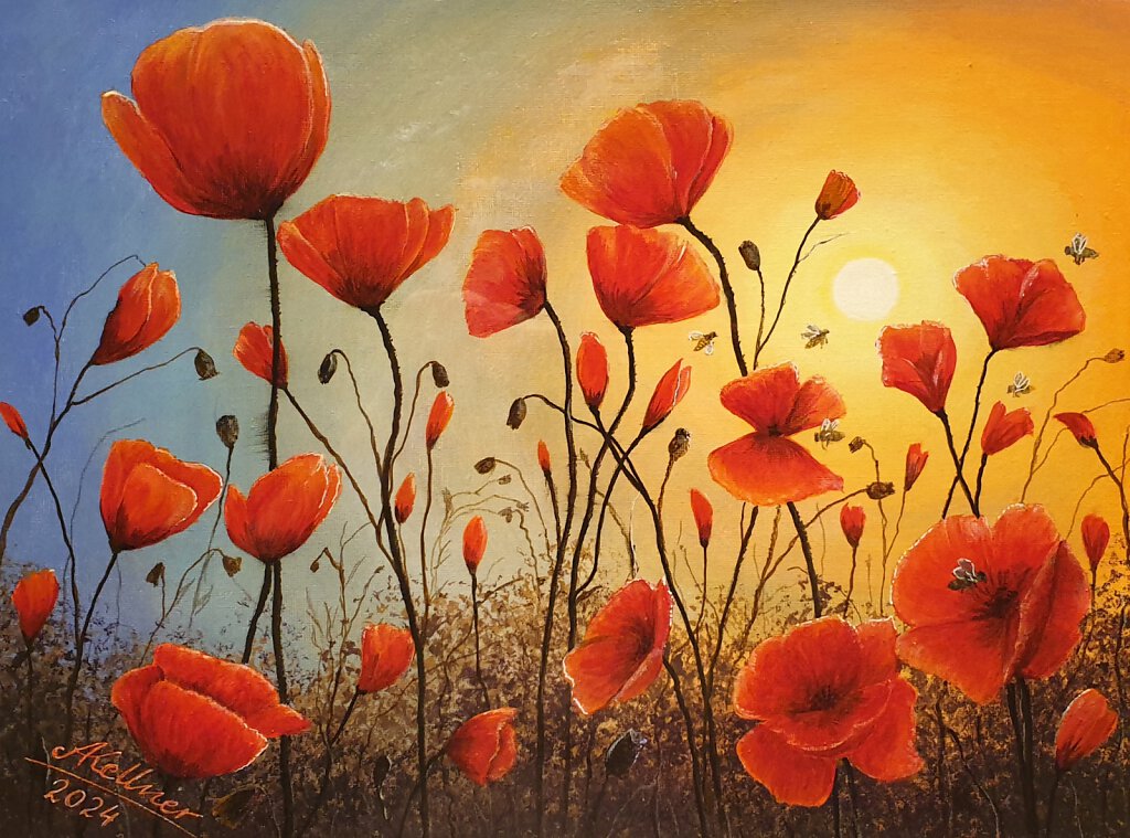 Poppy Field