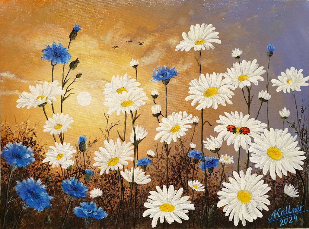 139-Dasies-Cornflowers